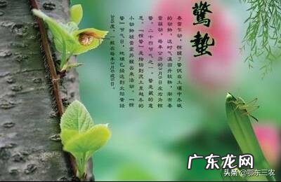 今天听到一句古话:惊蛰不冻虫,寒到五月中,这句话是什么意思?有道理吗?