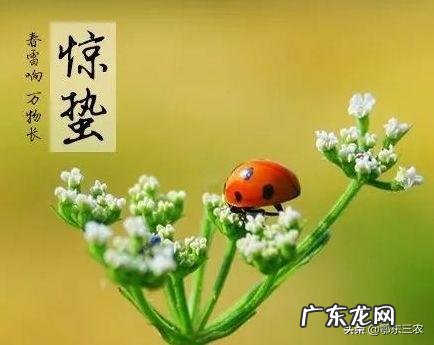 今天听到一句古话:惊蛰不冻虫,寒到五月中,这句话是什么意思?有道理吗?