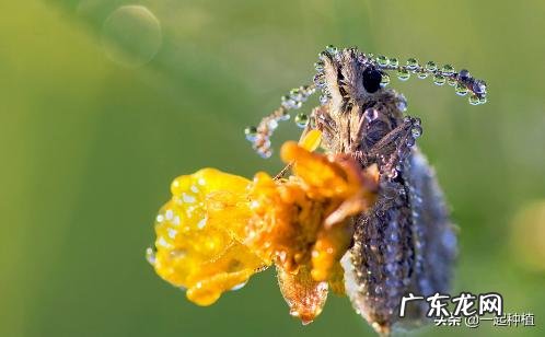 今天听到一句古话:惊蛰不冻虫,寒到五月中,这句话是什么意思?有道理吗?