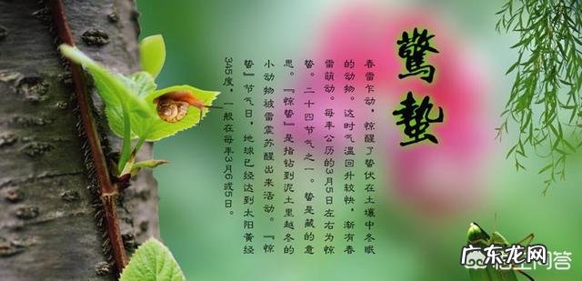 今天听到一句古话:惊蛰不冻虫,寒到五月中,这句话是什么意思?有道理吗?