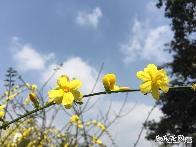 今天听到一句古话:惊蛰不冻虫,寒到五月中,这句话是什么意思?有道理吗?