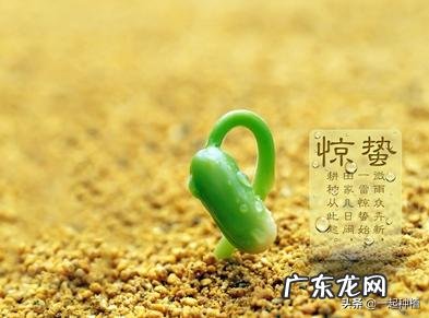 今天听到一句古话:惊蛰不冻虫,寒到五月中,这句话是什么意思?有道理吗?