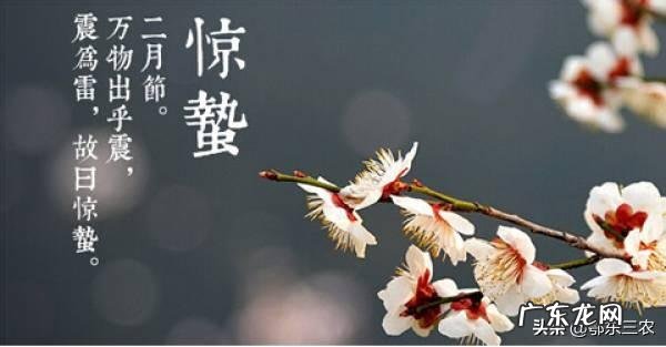 今天听到一句古话:惊蛰不冻虫,寒到五月中,这句话是什么意思?有道理吗?