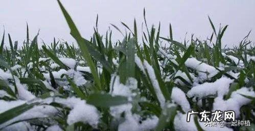 今天听到一句古话:惊蛰不冻虫,寒到五月中,这句话是什么意思?有道理吗?