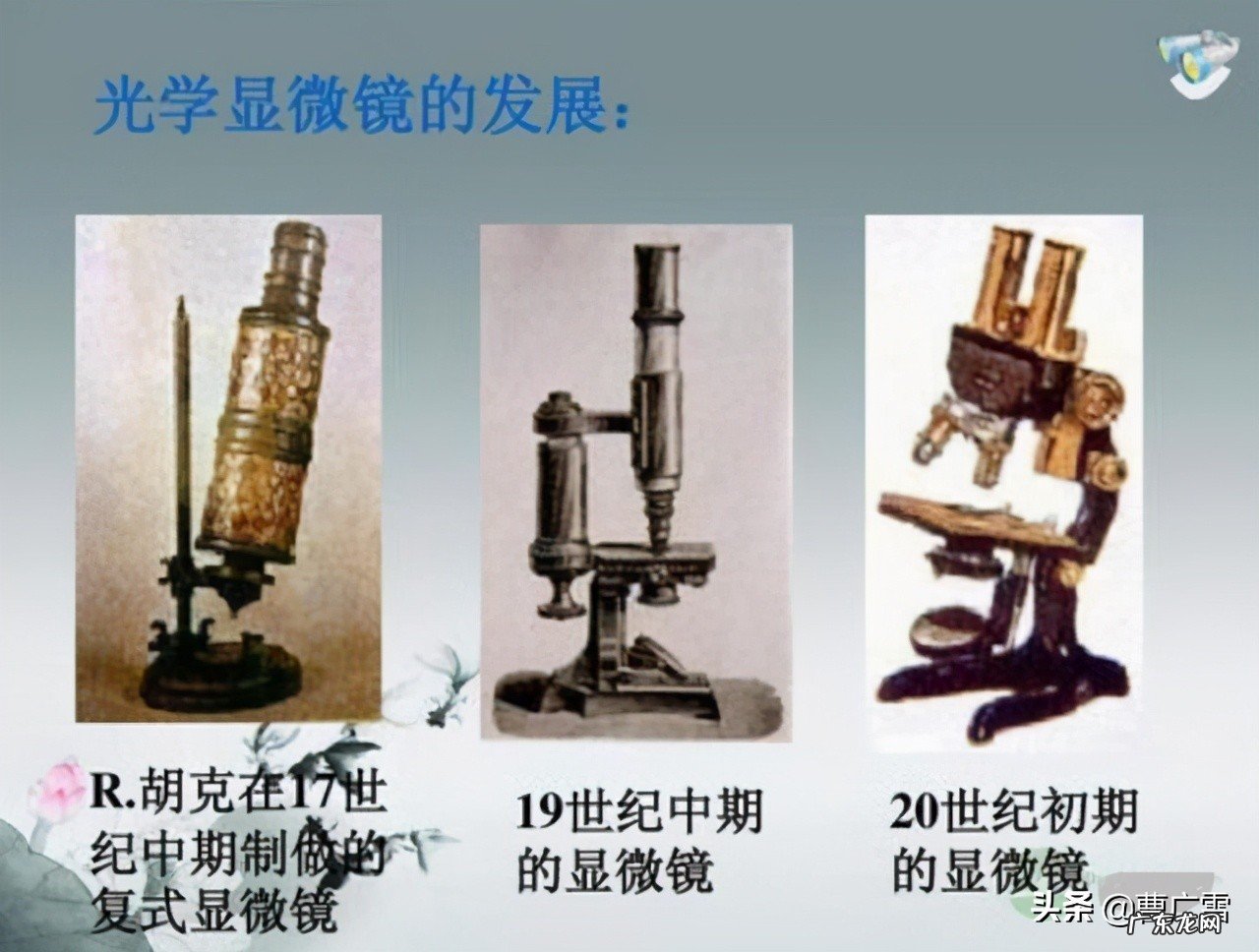 列文虎克发现了什么 列文虎克的资料简介