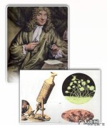 列文虎克发现了什么 列文虎克的资料简介