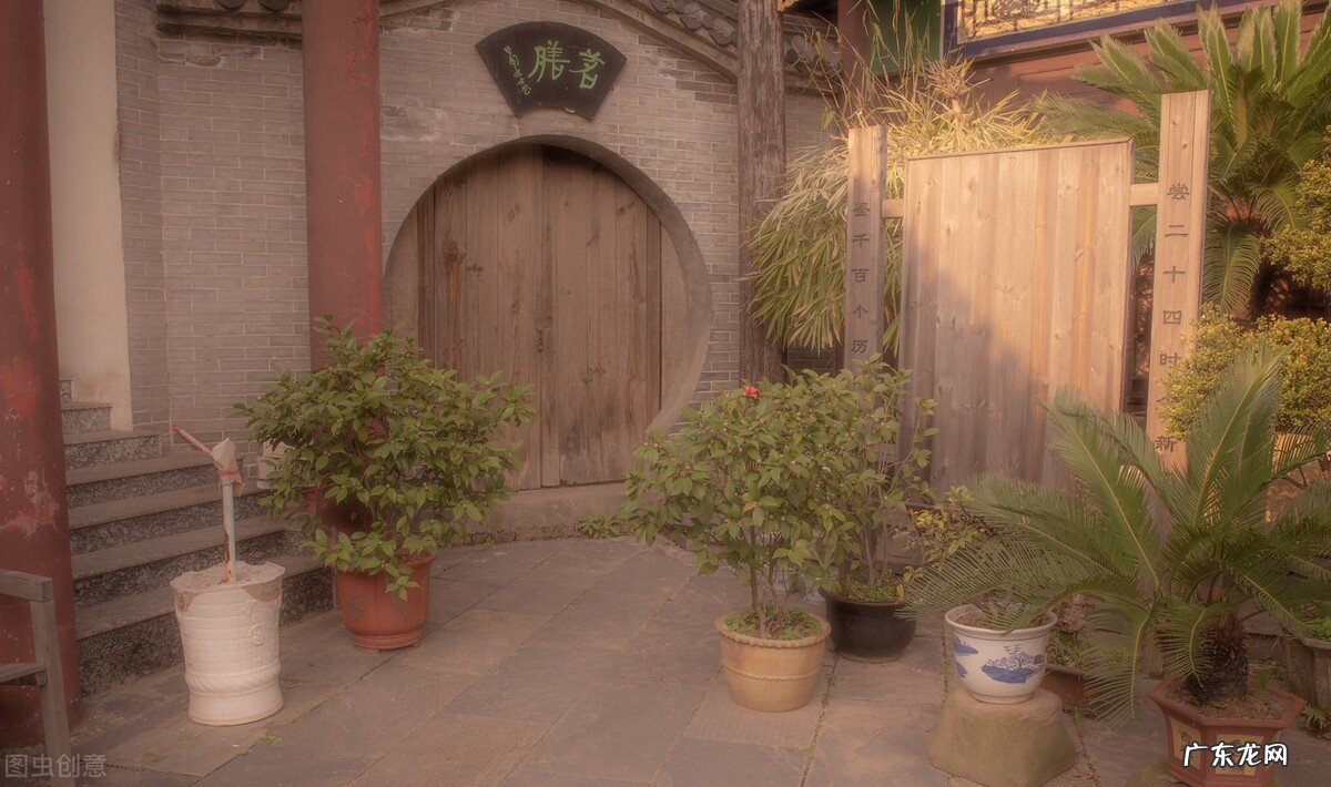 植物大战僵尸禅境花园攻略 禅意花园攻略