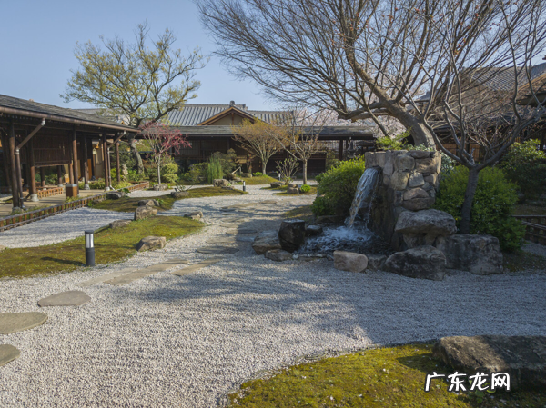 植物大战僵尸禅境花园攻略 禅意花园攻略