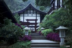 植物大战僵尸禅境花园攻略 禅意花园攻略