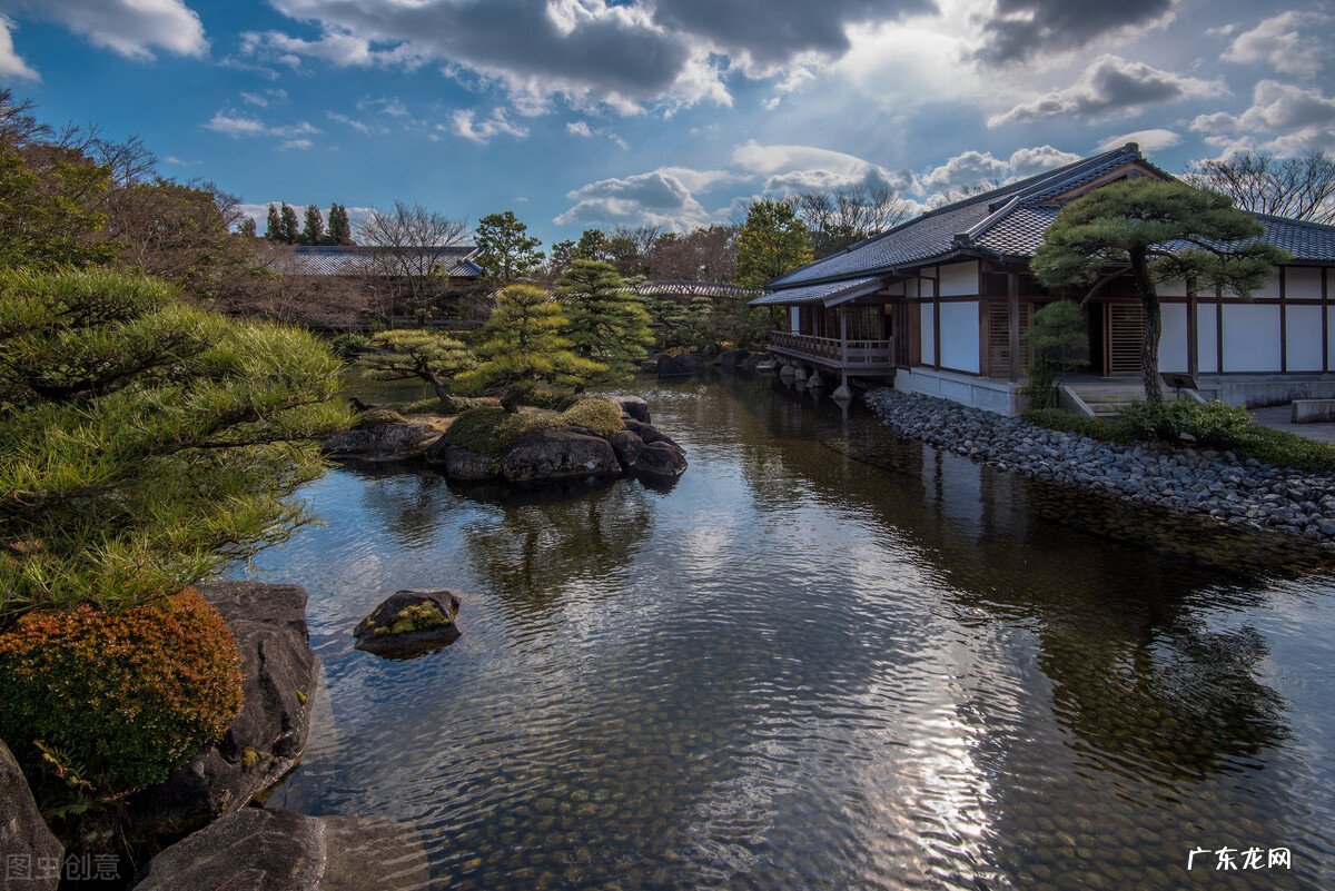 植物大战僵尸禅境花园攻略 禅意花园攻略