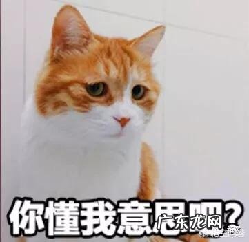 有哪些适合秋冬天的平价护肤品可推荐?