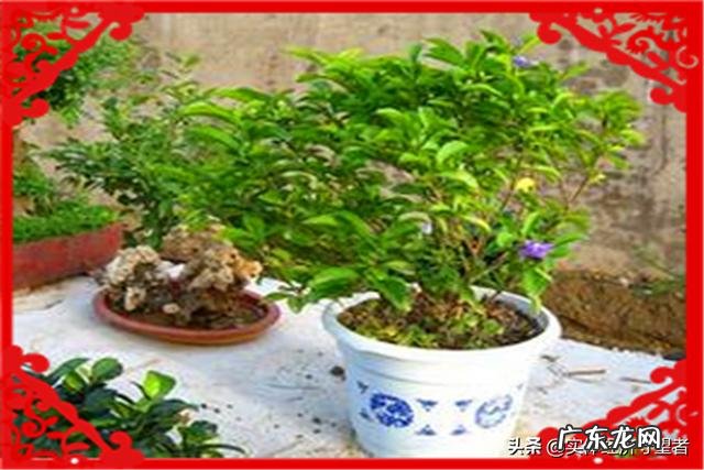 一个离异女人，带两个孩子，想创业，有什么好的商机？