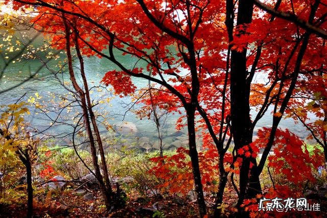 自驾旅行，作为一个新手，哪些线路比较适合去？
