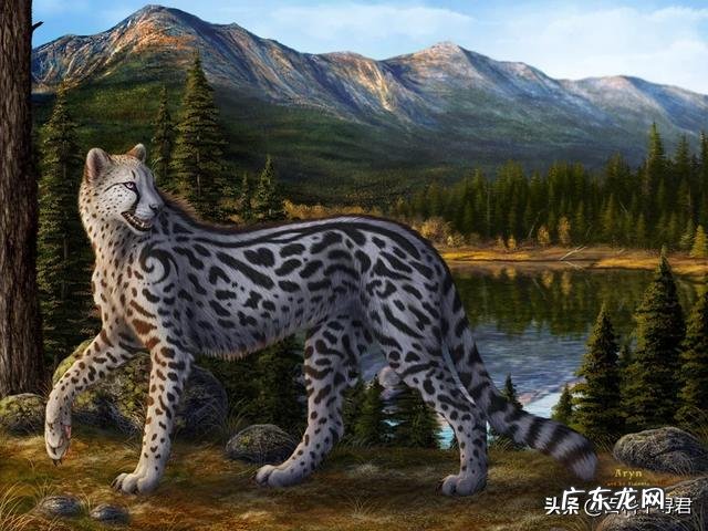 惊豹打的过鬣狗吗？