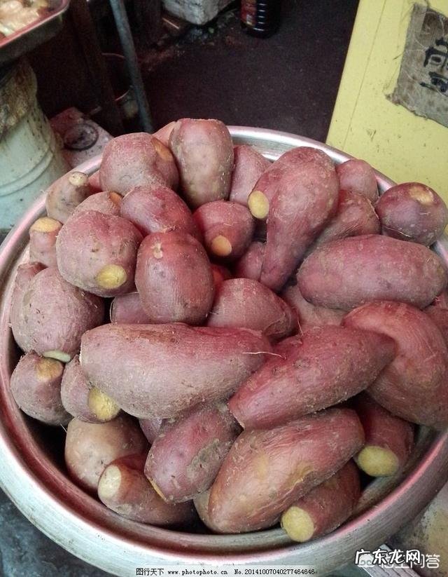 吃红薯有哪些好处?