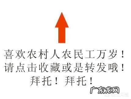 吃红薯有哪些好处?