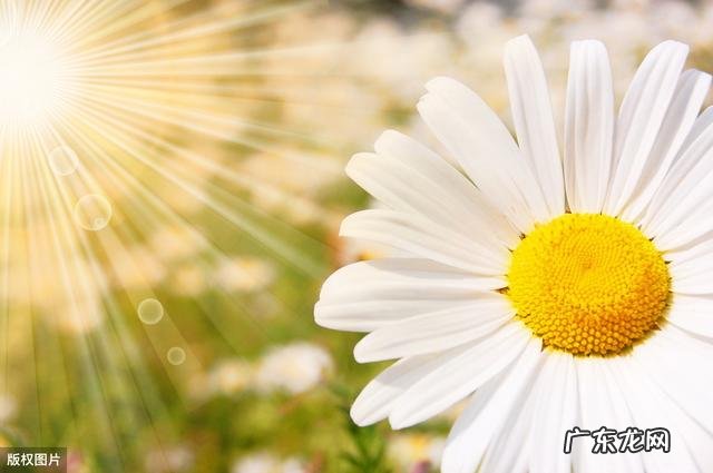 如何摆脱自卑情绪,社交障碍啊?