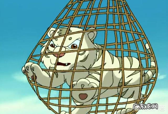 有什么动漫故事在工作上激励我们，在事业上找到出路？