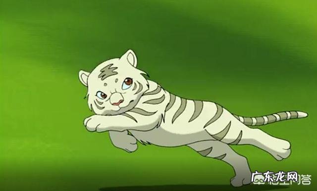 有什么动漫故事在工作上激励我们，在事业上找到出路？