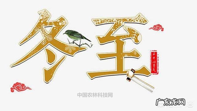 如何做饺子馅？