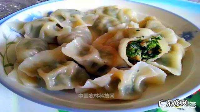 如何做饺子馅？