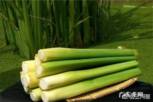 春天祛斑吃什么好?