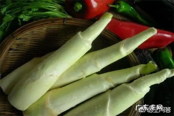 春天祛斑吃什么好?