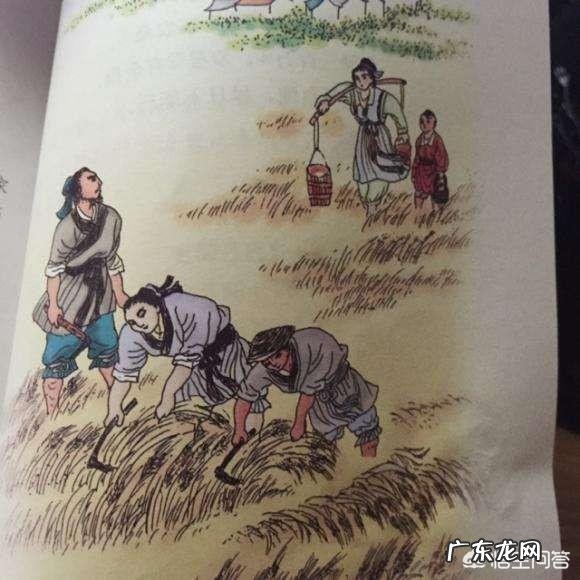 5月1日劳动节马上到了,有哪些诗是描写田间耕作的呢?