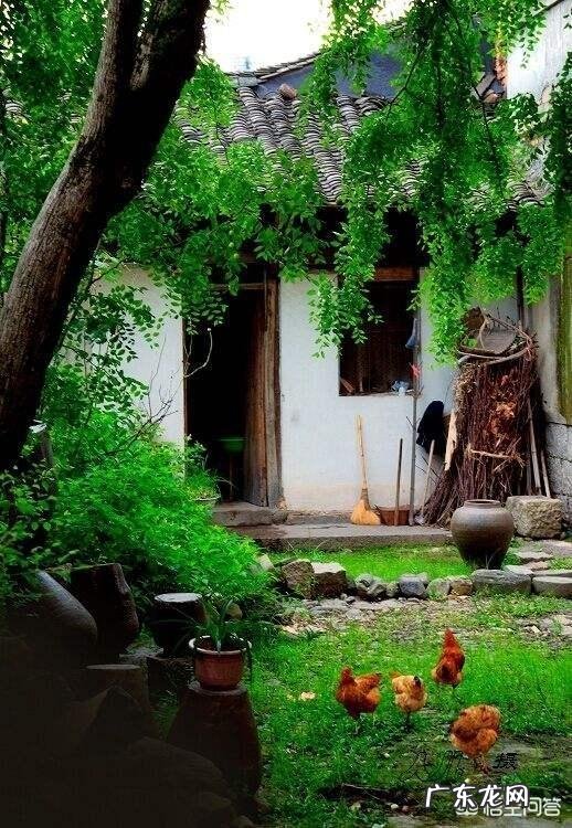 5月1日劳动节马上到了,有哪些诗是描写田间耕作的呢?