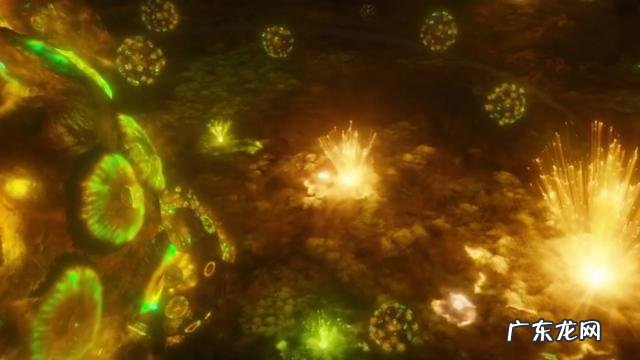 漫威电影一共有多少个宇宙?