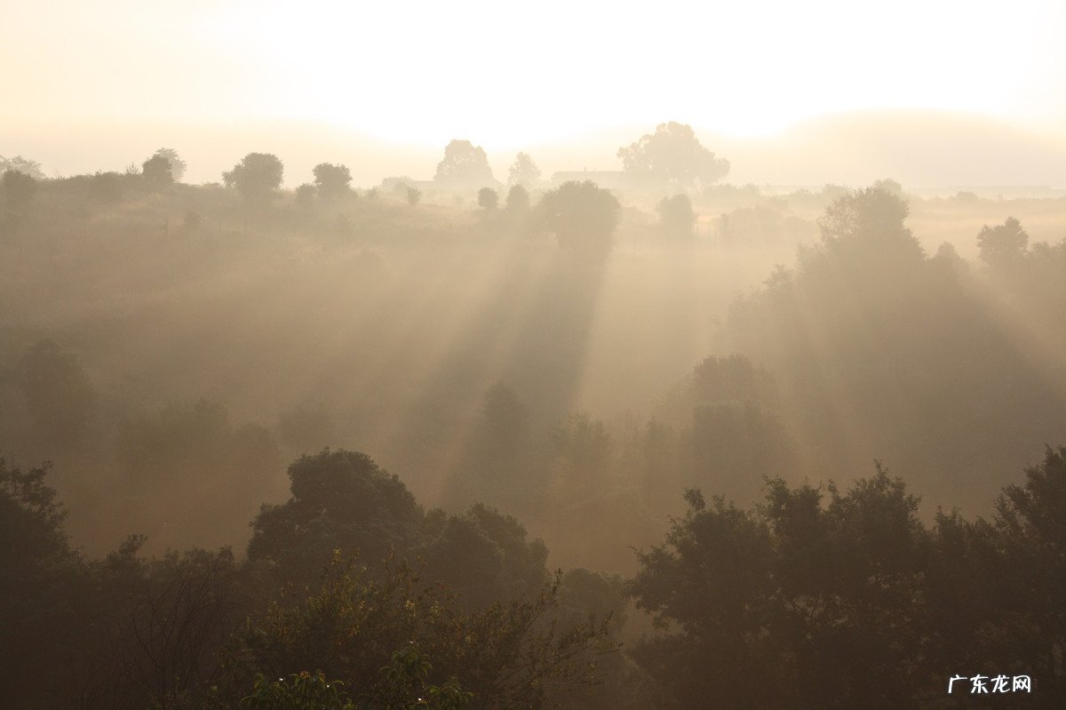 选择东边的房子后悔死了,切莫不在意 老人说东西朝向的房子风水