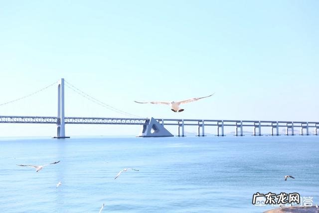 喜欢现在的工作,不喜欢现在的直接领导,有什么办法让他走吗?