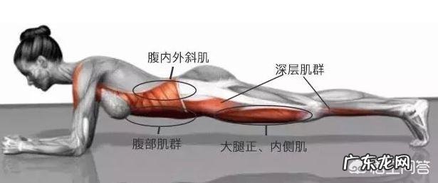 哪些方法能锻炼核心力量呢？