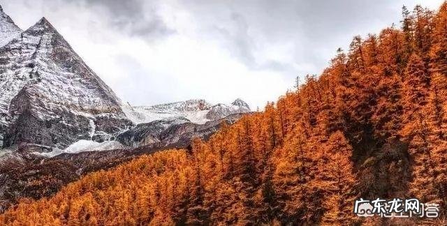 摄影中要怎么表现构图的整齐?