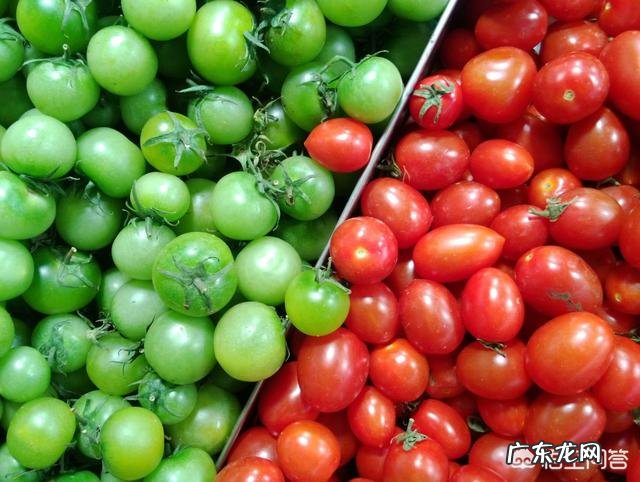 摄影中要怎么表现构图的整齐?