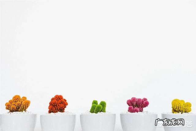 摄影中要怎么表现构图的整齐？