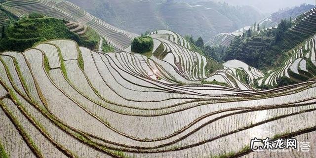 摄影中要怎么表现构图的整齐?