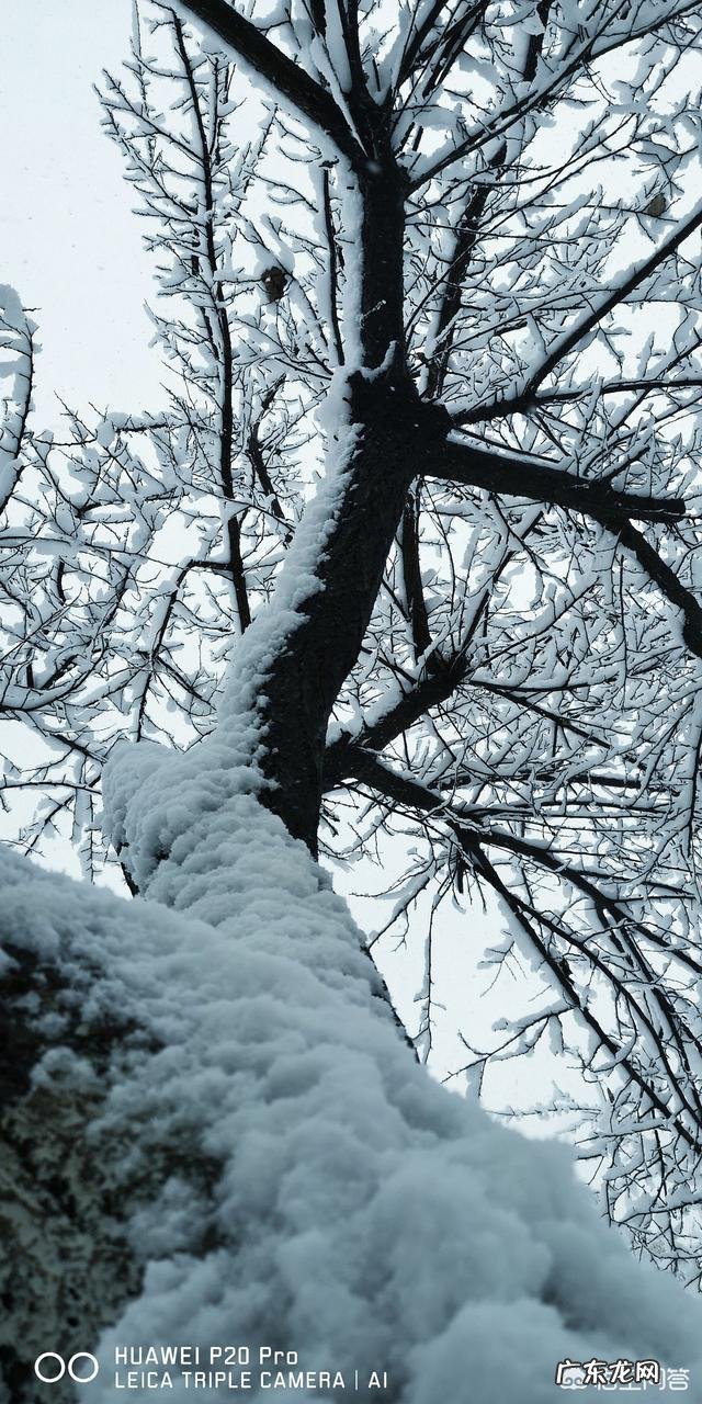 摄影中要怎么表现构图的整齐?