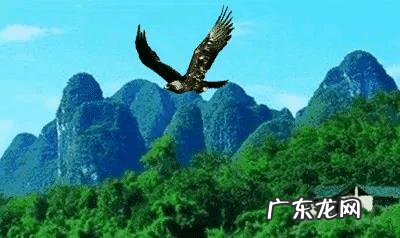 旅游的最突出特征表现在那些方面?