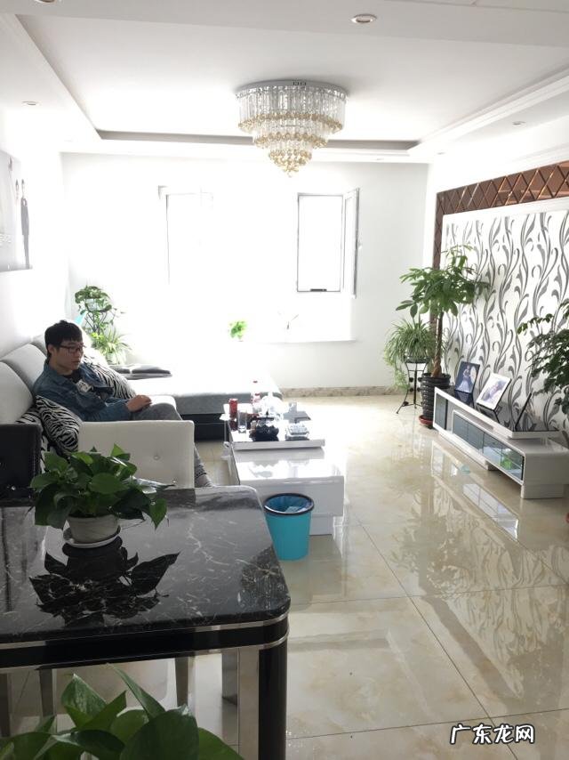 啤酒养花到底有什么好处?