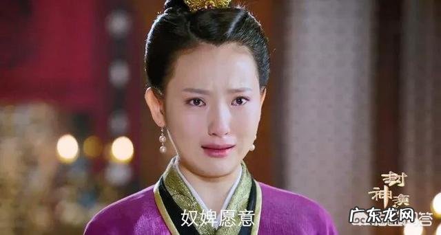 新《封神演义》狐妖子虚为何说妲己还没毁纣王江山,先毁了自己?他比妲己善良吗?