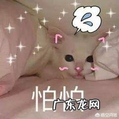 面部埋线的后遗症?