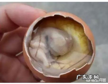 怎么样煮茶叶蛋?详细的做法是什么?