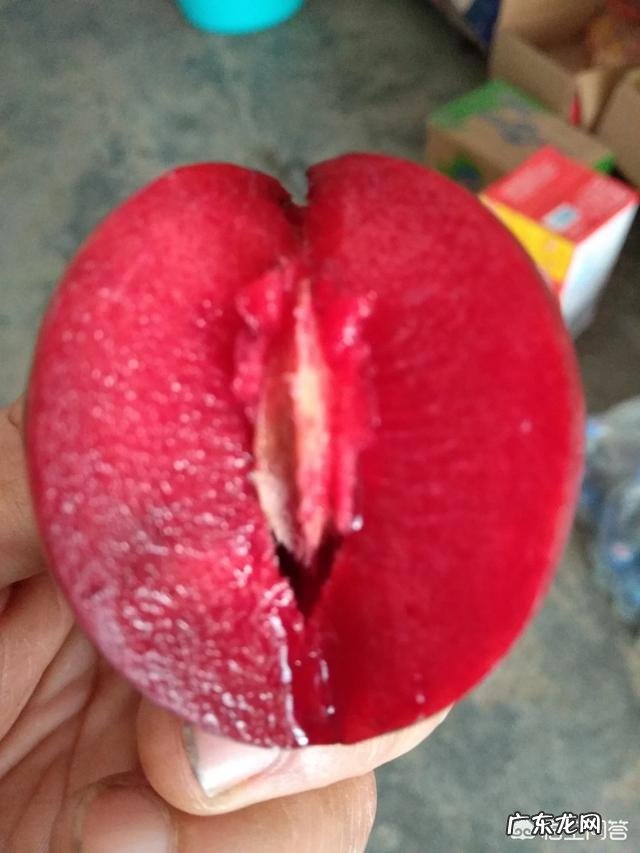 哪种李子品种不酸？