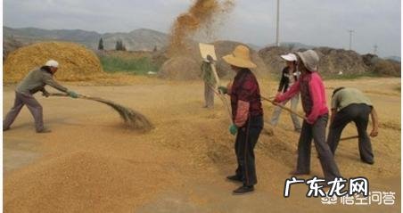 你去过的中国最穷的乡村是哪里？到底有多穷？