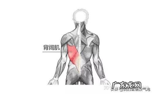 钻石俯卧撑比俯卧撑有哪些优势？