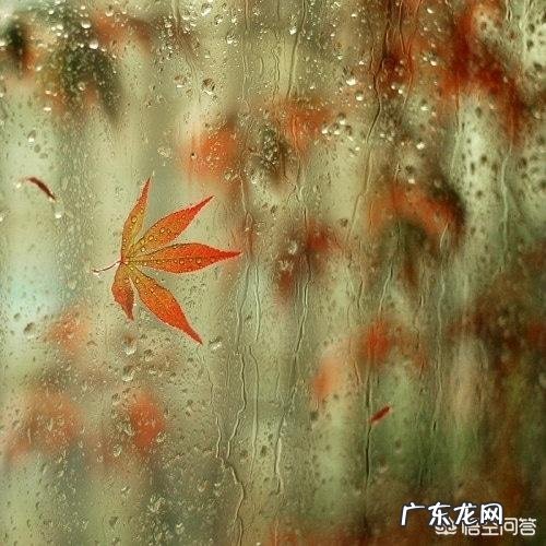 马上要处暑了,农村谚语:处暑若还天不雨,纵然结子难保米。处暑下雨好不好呢?