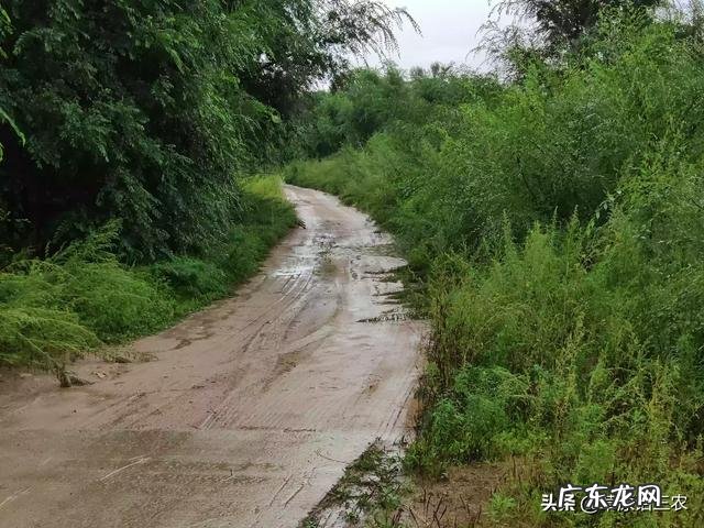 马上要处暑了，农村谚语：处暑若还天不雨，纵然结子难保米。处暑下雨好不好呢？