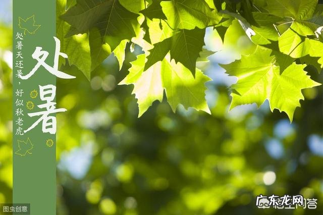 马上要处暑了,农村谚语:处暑若还天不雨,纵然结子难保米。处暑下雨好不好呢?