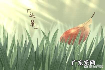 马上要处暑了,农村谚语:处暑若还天不雨,纵然结子难保米。处暑下雨好不好呢?